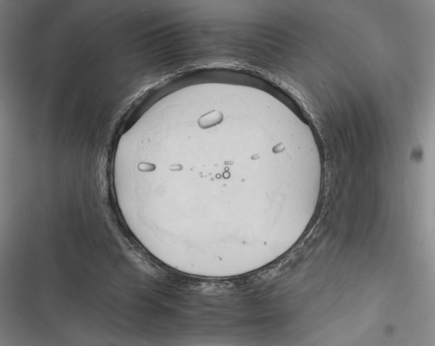 X0000116680345201001111336