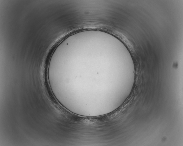 X0000116680346201001111336