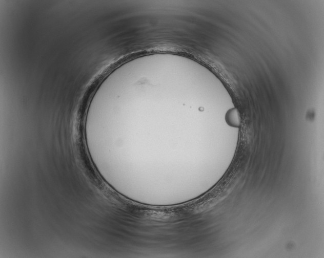 X0000116680347201001111336