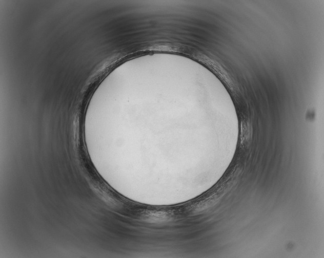 X0000116680349201001111336