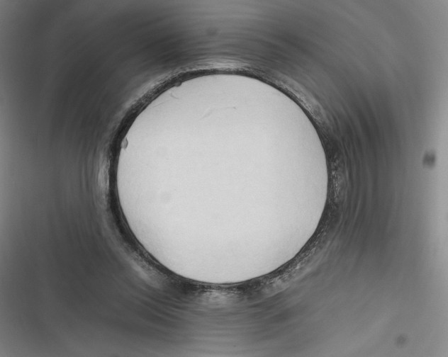 X0000116680350201001111336