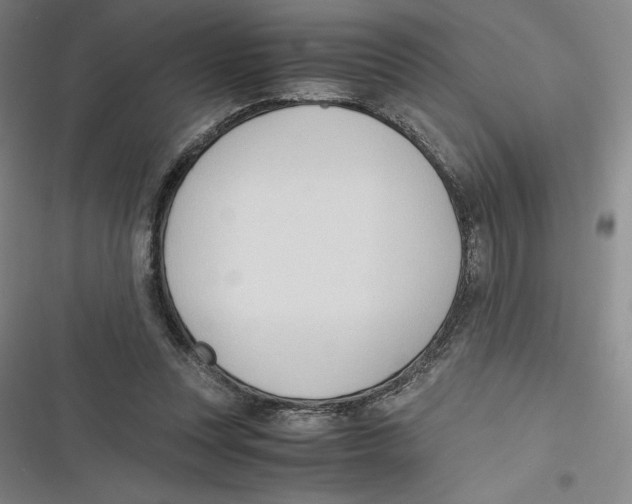 X0000116680351201001111336