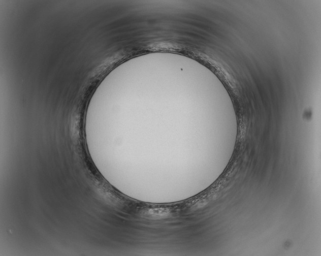 X0000116680353201001111336