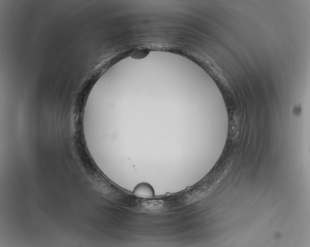 X0000116680355201001111336