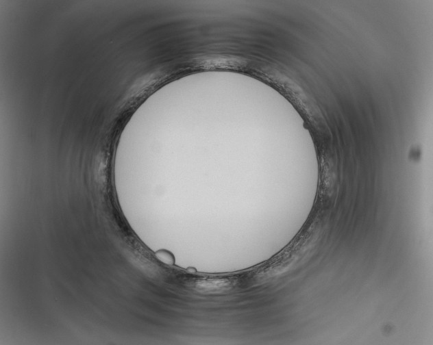 X0000116680357201001111336