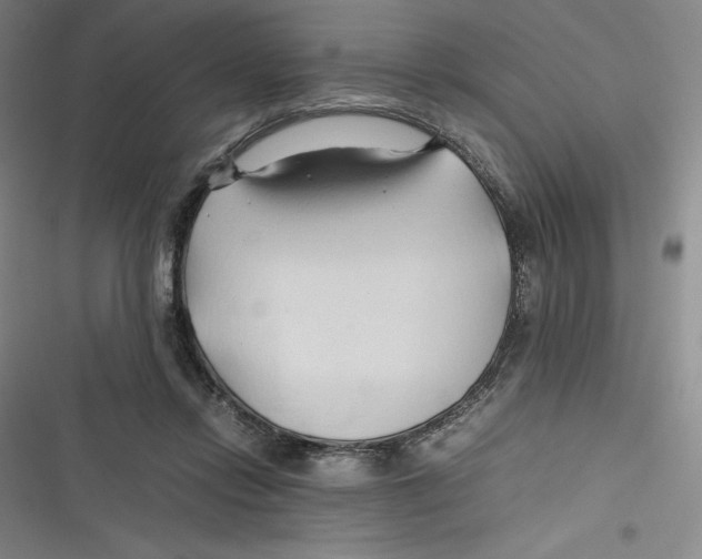 X0000116680358201001111336