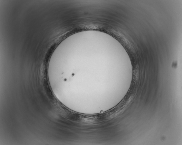 X0000116680359201001111336