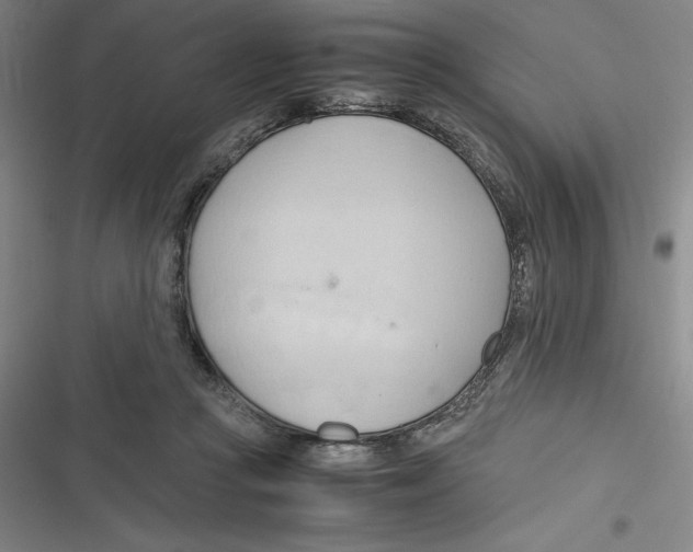 X0000116680361201001111336