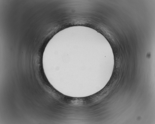 X0000116680362201001111336