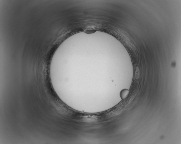 X0000116680363201001111336