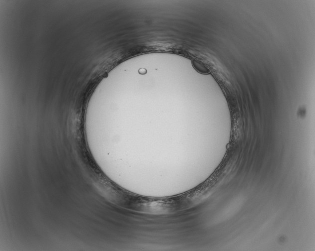 X0000116680365201001111337