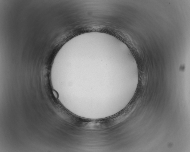 X0000116680366201001111337