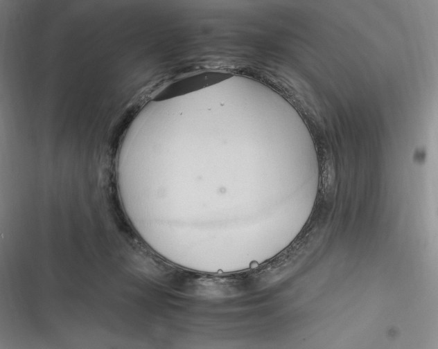 X0000116680367201001111337