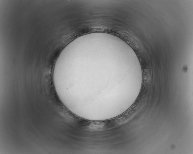 X0000116680369201001111337