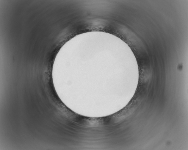 X0000116680370201001111337