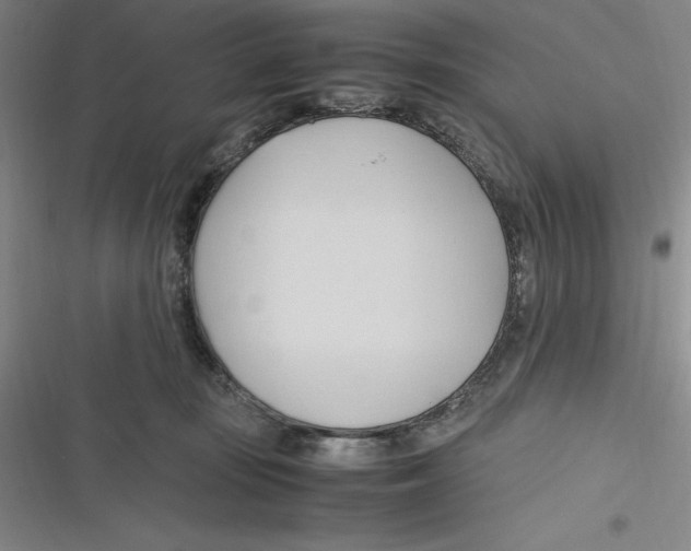 X0000116680371201001111337