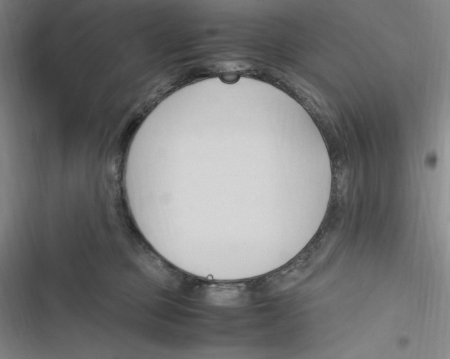 X0000116680373201001111337