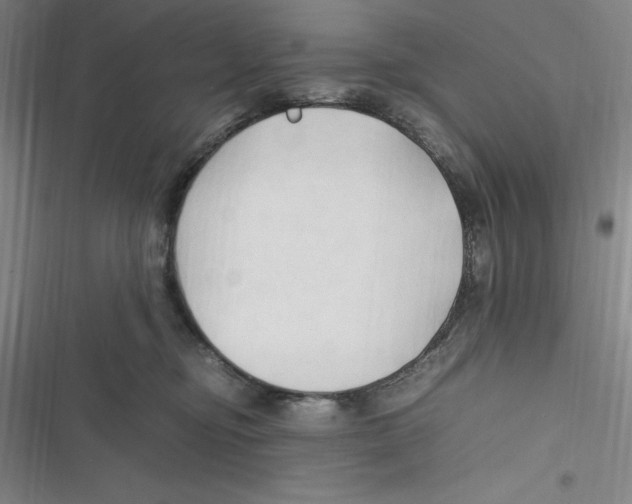 X0000116680374201001111337