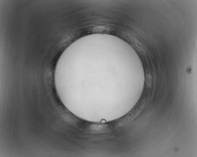 X0000116680375201001111337