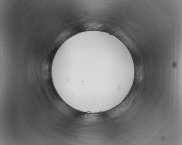 X0000116680378201001111337