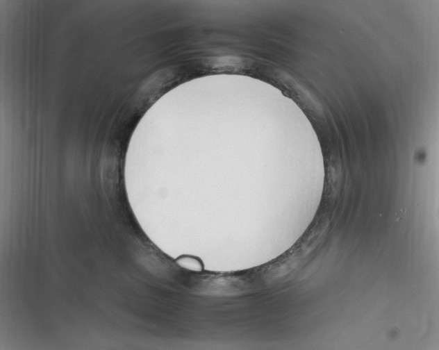 X0000116680379201001111337