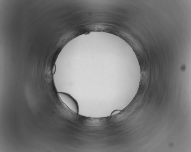 X0000116680381201001111337