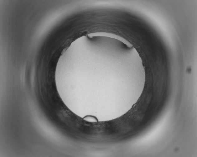 X0000116680382201001111337