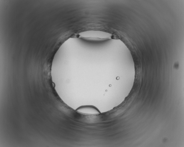 X0000116680383201001111337