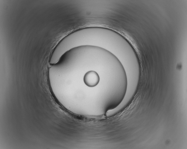 X0000116680385201001111336