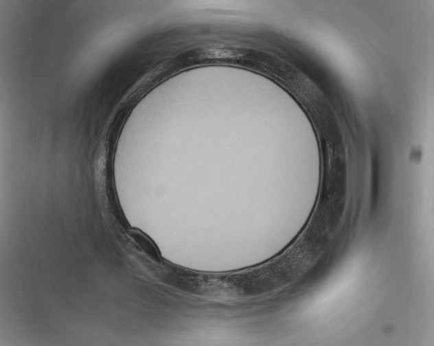 X0000116680387201001111336