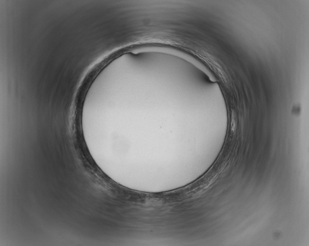 X0000116680388201001111336