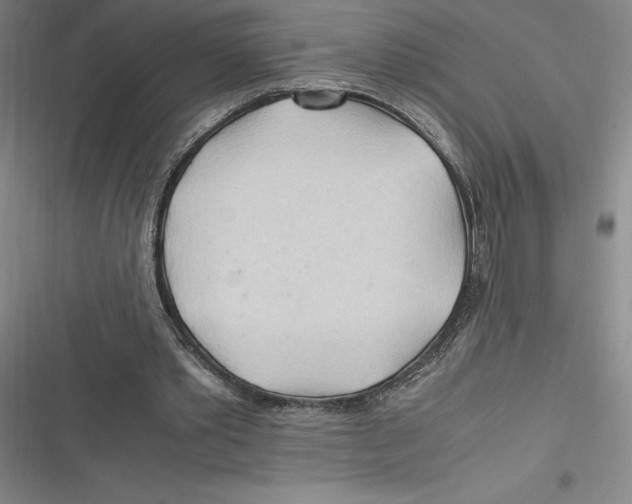 X0000116680389201001111336