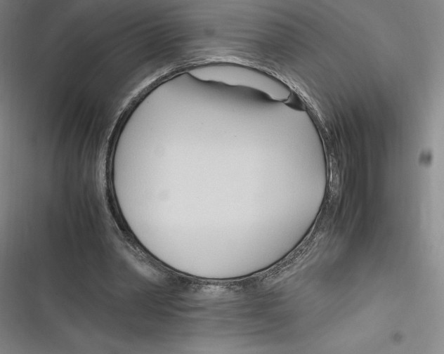 X0000116680390201001111336