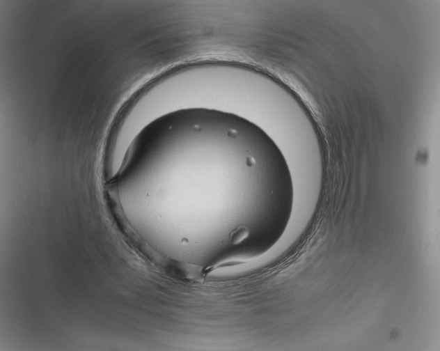 X0000116680391201001111336