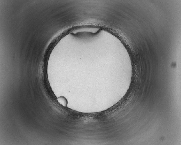 X0000116680392201001111336