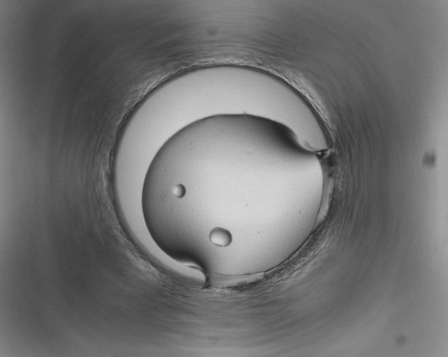 X0000116680393201001111336