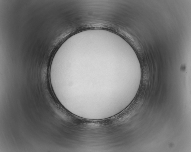 X0000116680394201001111336