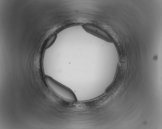 X0000116680395201001111336