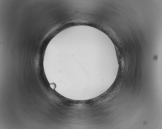 X0000116680396201001111336