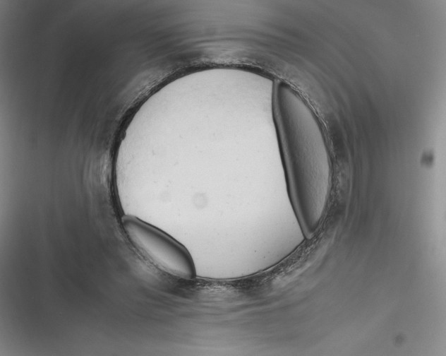 X0000116680397201001111336