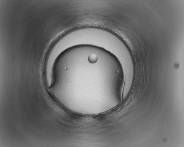 X0000116680399201001111336