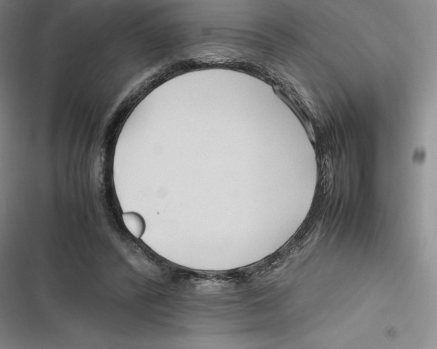 X0000116680400201001111336