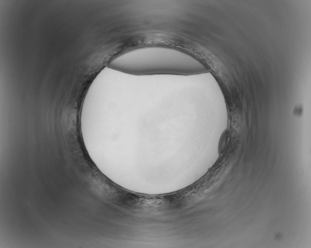 X0000116680401201001111336