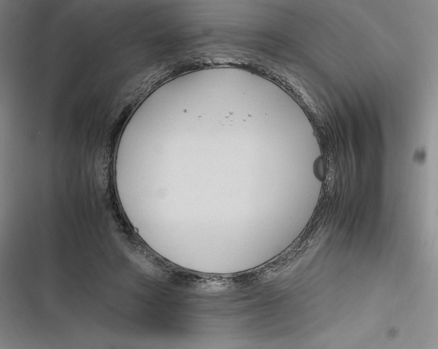 X0000116680402201001111336