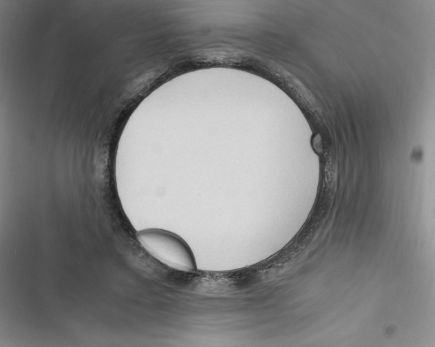 X0000116680403201001111336