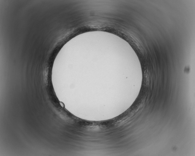 X0000116680404201001111336