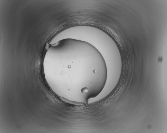 X0000116680405201001111336