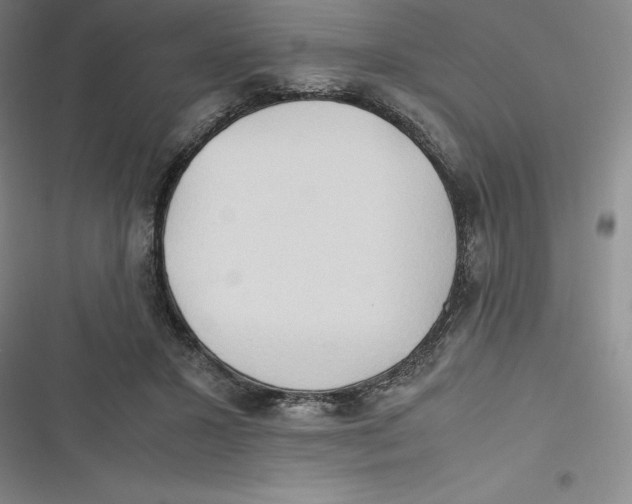 X0000116680407201001111336