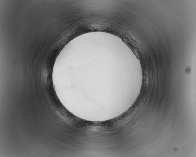 X0000116680408201001111336