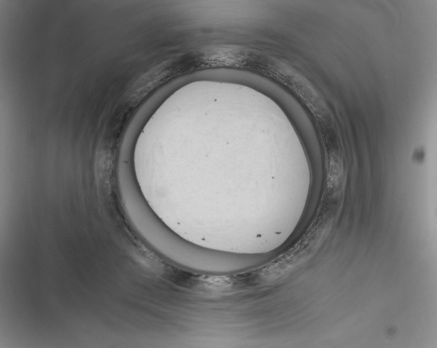 X0000116680409201001111336